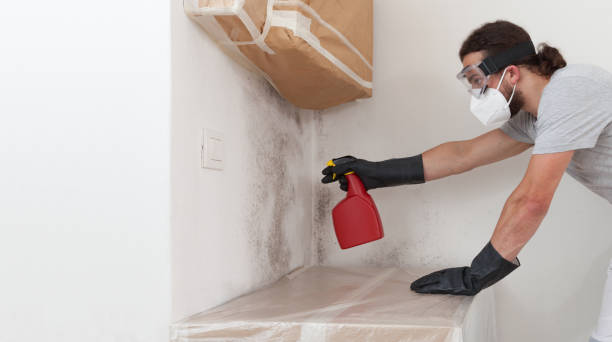 Professional Bathroom Mold Removal technician working in Elgin, MN